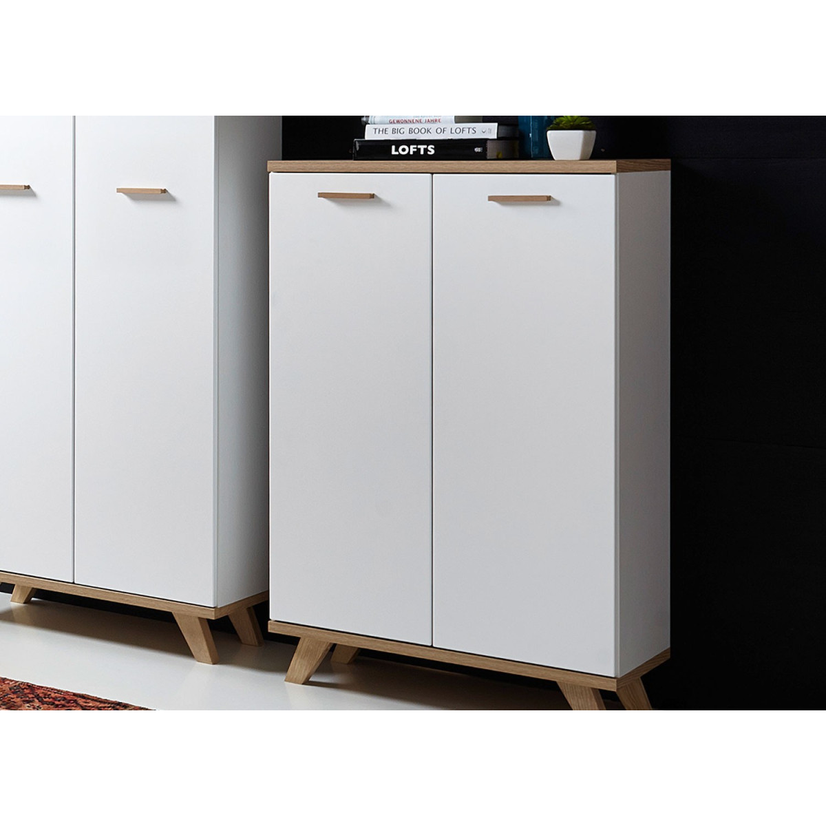 Armoire de rangement 2 portes blanc et bois