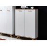 Armoire de rangement 2 portes blanc et bois