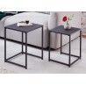 Lot de 2 tables d'appoint en métal noir