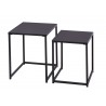 Lot de 2 tables d'appoint en métal noir