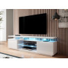 Meuble tv blanc brillant 2 portes et 2 niches