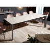 Table repas extensible 12 personnes aspect marbre blanc