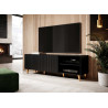 Meuble tv noir 2 portes et 2 niches 150 cm