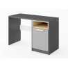 Bureau gris 1 porte et 1 niche