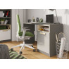 Bureau gris 1 porte et 1 niche