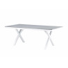 Table de jardin rectangulaire 2m gris et blanc