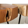 Table basse bois tronc d'arbre rustique