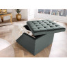Pouf rangement salon velours gris