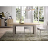 Table avec 1 allonge 140-188 cm chêne cadiz et cashmere Enora