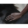 Grande toile murale XXL femme chevauchant un cheval 143x183 cm