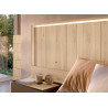 Lit chambre adulte moderne 180x200 cm à led Yuna