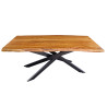 Table de repas rectangulaire acacia et pied central Silan