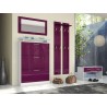 Combiné de meuble entrée design EDELWEISS