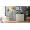 Commode 2 portes 2 tiroirs moderne