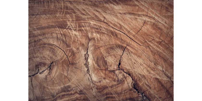 Choisissez le bois idéal pour votre table de repas