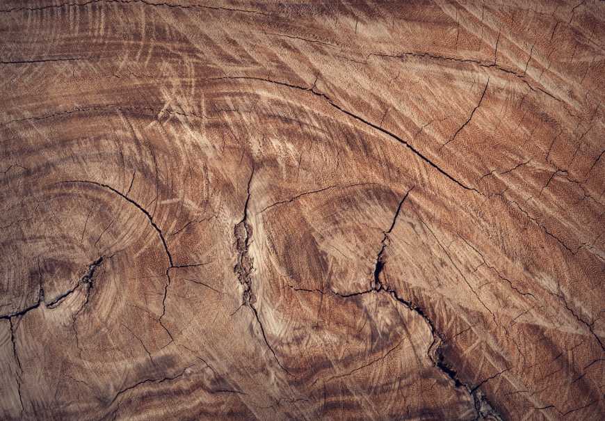 Choisissez le bois idéal pour votre table de repas