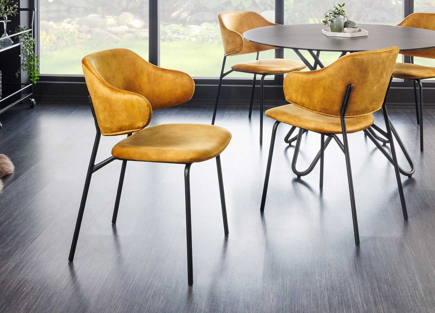 Chaises velours jaune moutarde