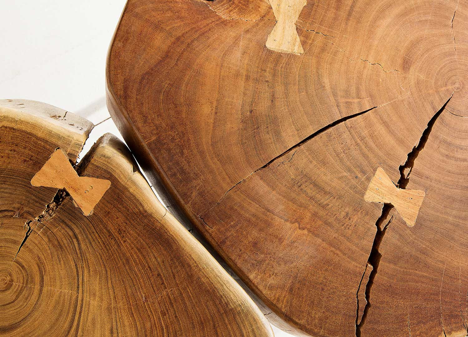 Table basse bois tronc d'arbre rustique