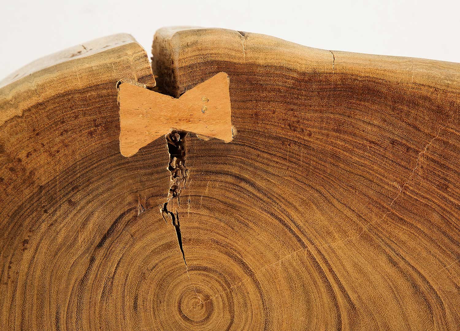 Table basse bois tronc d'arbre rustique